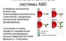 Анализ крови на групповые антитела и антитела по АВ0 системе — это одно и то же?