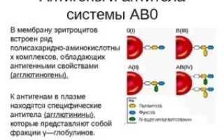 Анализ крови на групповые антитела и антитела по АВ0 системе — это одно и то же?
